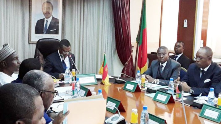 Conseil ministériel présidé par Dion Ngute, premier ministre du Cameroun, 2019