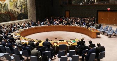 Le Cameroun, Séance du Conseil de sécurité du la situation humanitaire