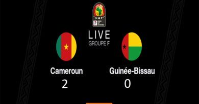 CAN Egypte 2019 le Cameroun gagne la Guinée Bissau 2 but à 0