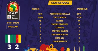 Statistiques du match Cameroun - Nigéria. Les Lions indomptables perdent leur couronne en Egypte