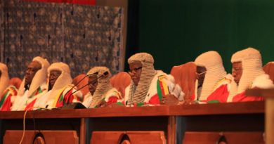 Grand Dialogue National du Cameroun et le Conseil Constitutionnel