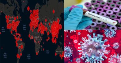 Pandemie coronavirus-19