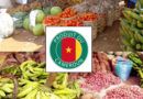 Grande ditribution au Cameroun
