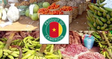 Grande ditribution au Cameroun