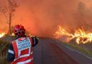Incendies de forets en France Sapeurs pompiers