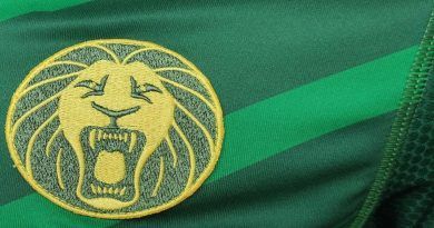 Equipements One All Sports maillot des Lions indomptables du Cameroun
