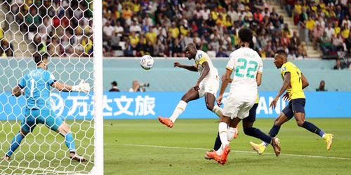 Le Sénégal vainqueur de l'Equateur passe en 8e de finale Qatar 2022